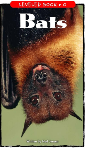 Bats繪本PDF+音頻百度網(wǎng)盤免費下載