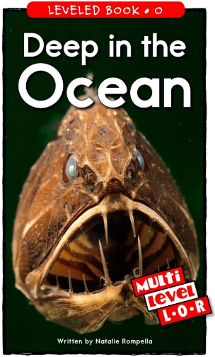 Deep in the Ocean繪本PDF+音頻百度網盤免費下載