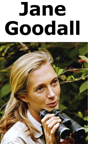 Jane Goodall繪本PDF+音頻百度網盤免費下載