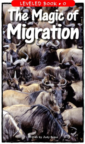The Magic of Migration繪本PDF+音頻百度網(wǎng)盤免費下載