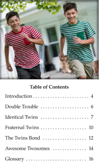 Two Make Twins繪本PDF+音頻百度網盤免費下載