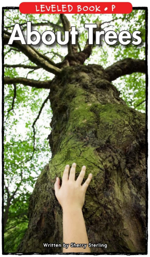 About Trees繪本PDF+音頻百度網盤免費下載