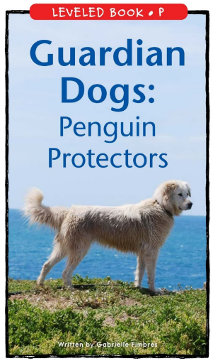 Guardian Dogs Penguin Protectors繪本PDF+音頻百度網盤免費下載