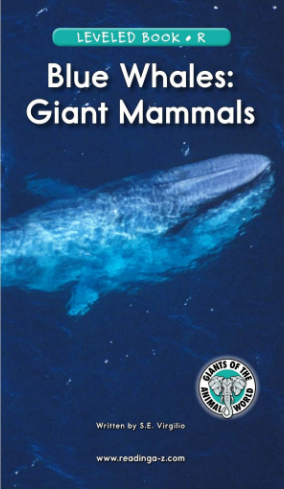 Blue Whales Giant Mammals繪本電子書+MP3百度網盤免費下載