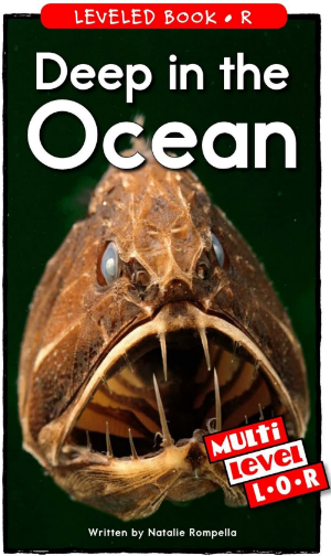Deep in the Ocean繪本電子書+MP3百度網盤免費下載