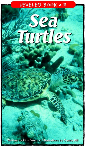 Sea Turtles繪本電子書+MP3百度網盤免費下載