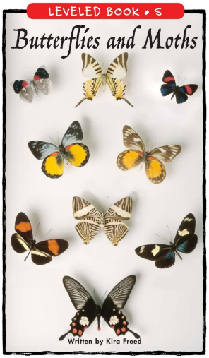 Butterflies and Moths繪本PDF+MP3百度網盤免費下載