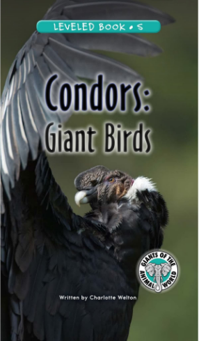 Condors Giant Birds繪本PDF+MP3百度網(wǎng)盤免費(fèi)下載