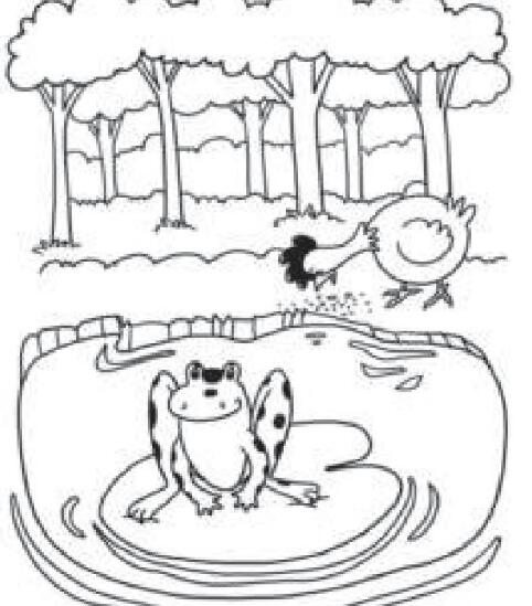 Ted and Fran自然拼讀繪本翻譯及pdf資源下載