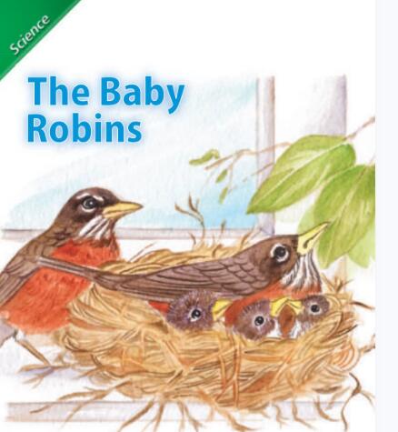 The Baby Robins繪本翻譯及pdf資源下載