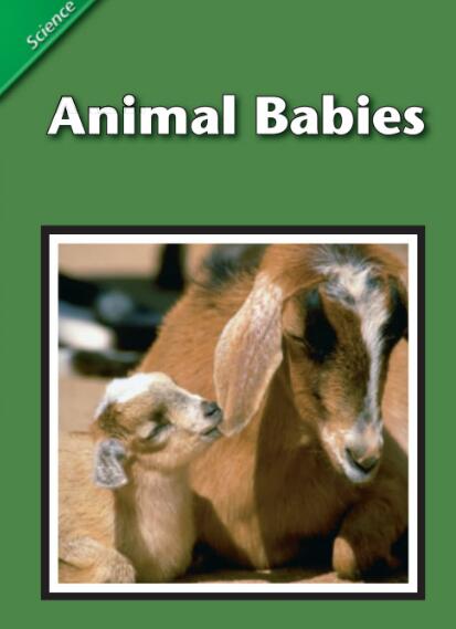 Animal Babies英文繪本翻譯及pdf資源下載