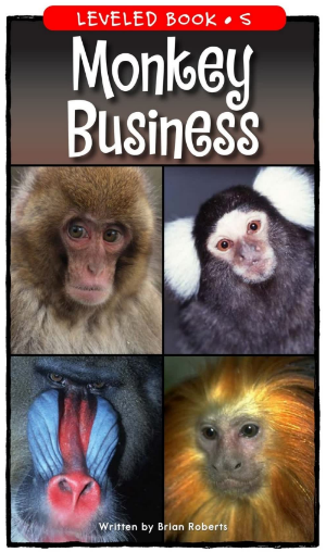Monkey Business繪本PDF+MP3百度網盤免費下載