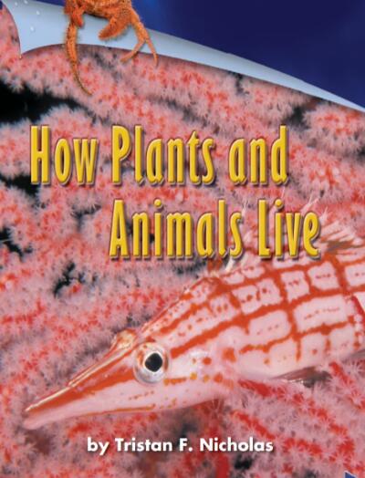 How Plants and Animals Live英語繪本翻譯及pdf資源下載