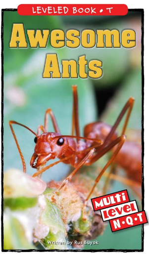 Awesome Ants繪本PDF+MP3百度網盤免費下載