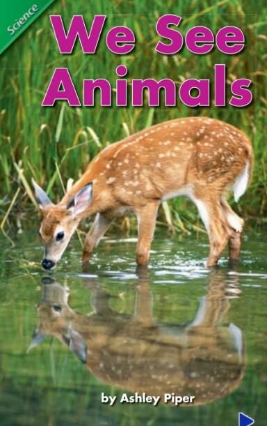 We See Animals英語繪本翻譯及pdf資源下載