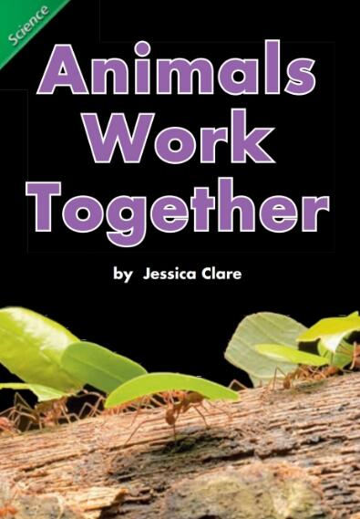 Animals Work Together少兒英語繪本翻譯及pdf資源下載