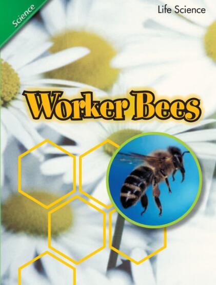 Worker Bees英語繪本翻譯及pdf資源下載