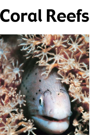 Coral Reefs繪本PDF+音頻百度網(wǎng)盤免費(fèi)下載