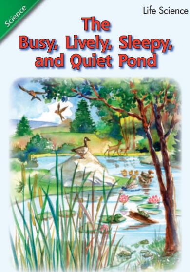 The Busy and Quiet Pond英語繪本翻譯及pdf資源下載