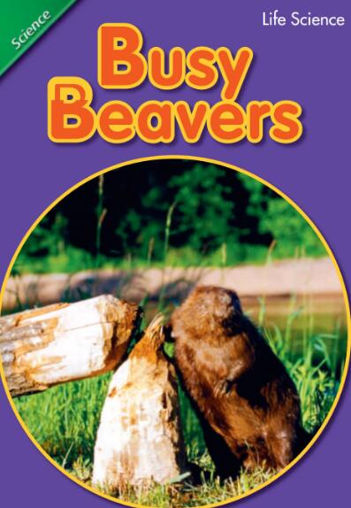 Busy Beavers兒童英語繪本翻譯及pdf資源下載