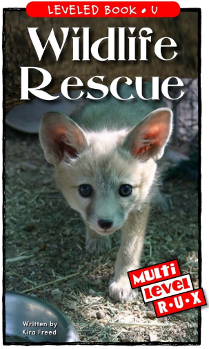 Wildlife Rescue繪本PDF+音頻百度網(wǎng)盤免費下載