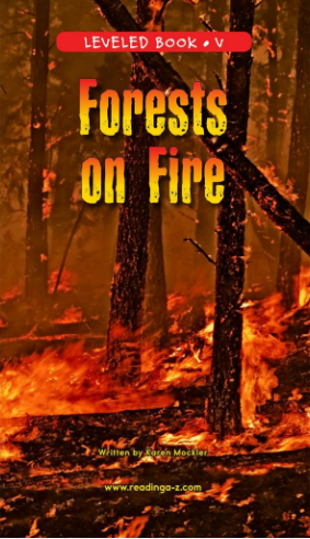 Forests on Fire繪本PDF+音頻百度網(wǎng)盤免費下載