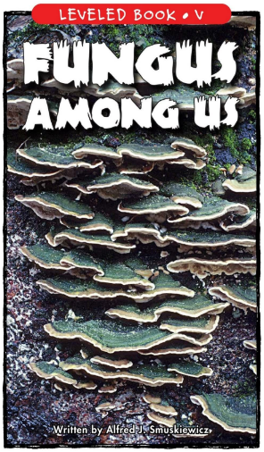 Fungus Among Us繪本PDF+音頻百度網盤免費下載