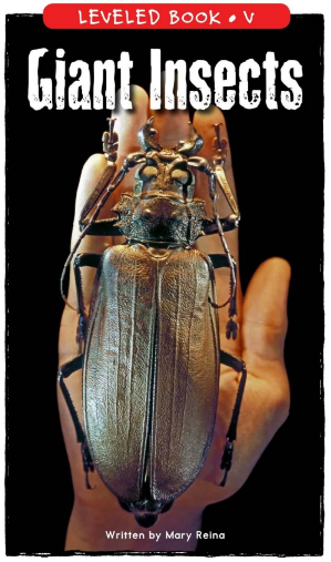 Giant Insects繪本PDF+音頻百度網盤免費下載