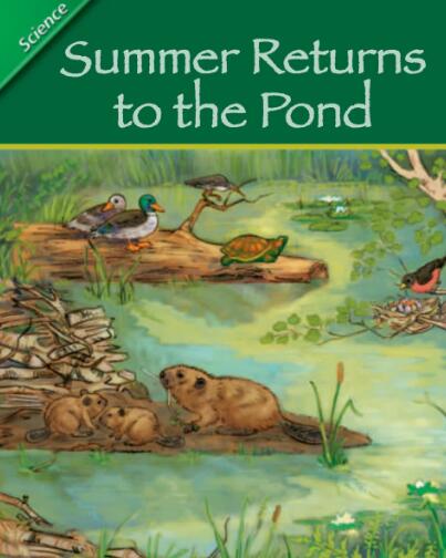 Summer Returns to the Pond英語(yǔ)繪本翻譯及pdf資源下載