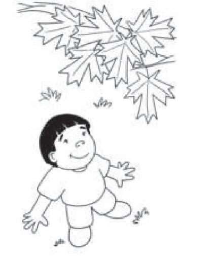 Finding the Maple Tree英語繪本翻譯及pdf資源下載