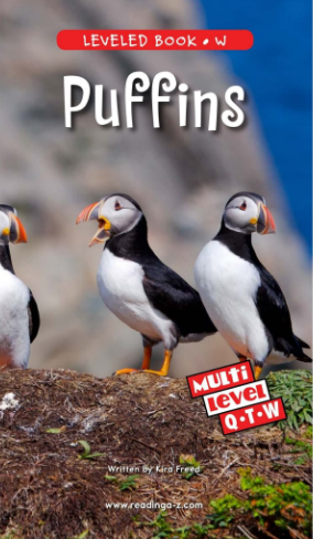 Puffins繪本PDF+音頻百度網盤免費下載