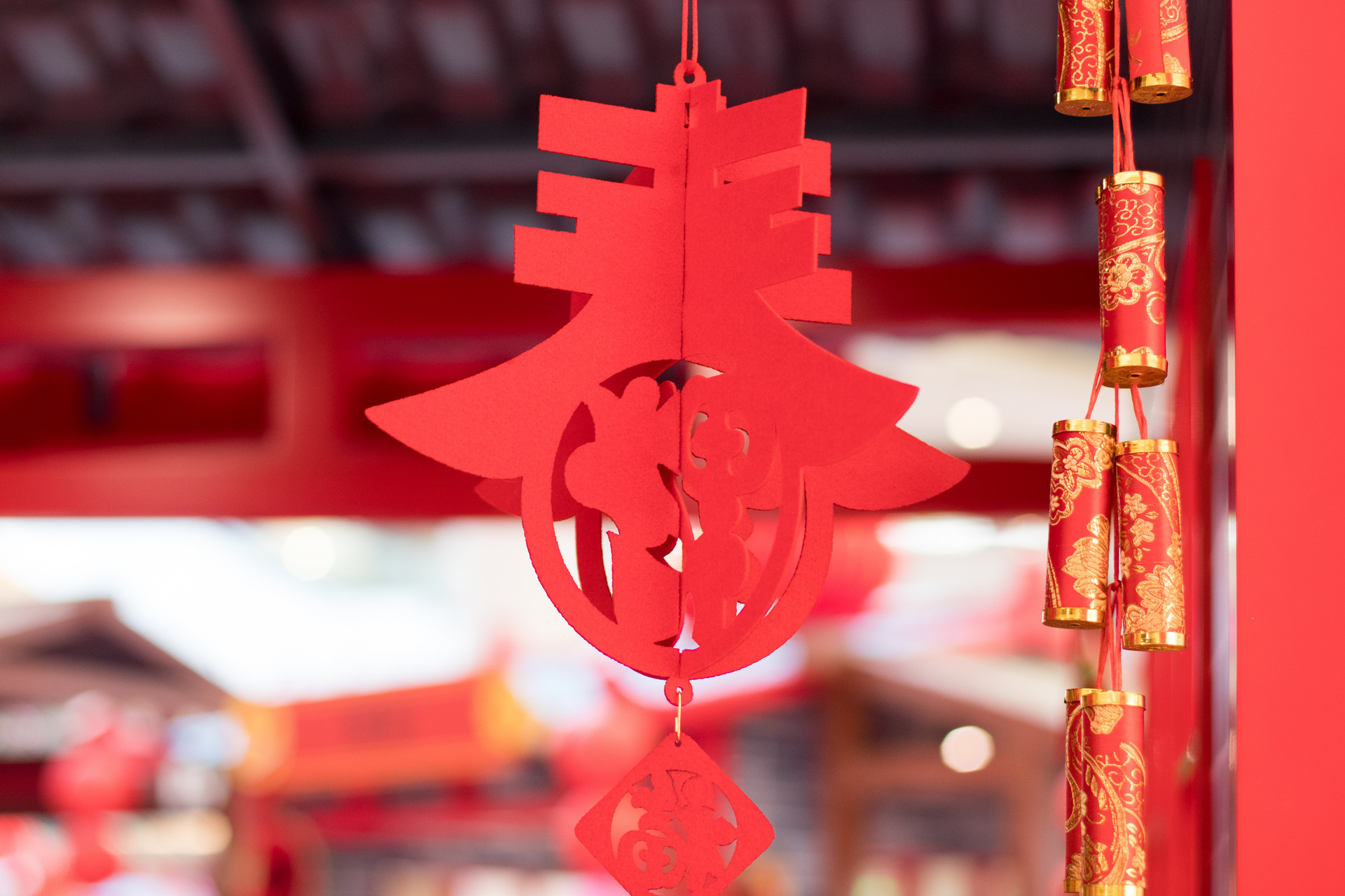 一年級關于過新年的作文