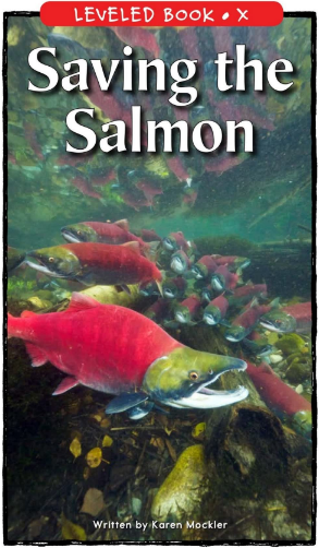 raz x級閱讀Saving the Salmon繪本PDF+音頻百度網盤免費下載