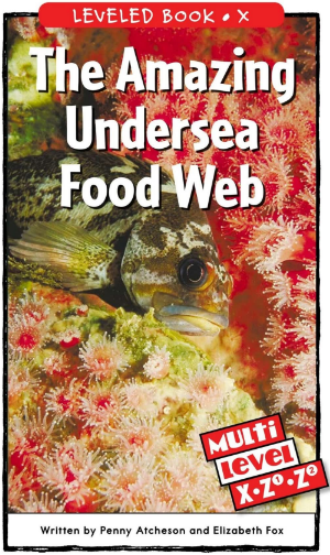 raz x級閱讀The Amazing Undersea Food Web繪本PDF+音頻百度網盤免費下載