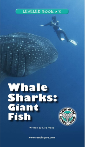 raz x級閱讀Whale Sharks Giant Fish繪本PDF+音頻百度網(wǎng)盤免費下載