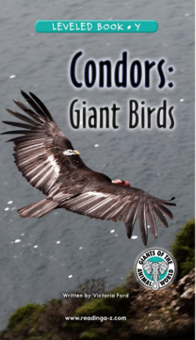 raz Y級閱讀Condors Giant Birds繪本PDF+音頻百度網盤免費下載