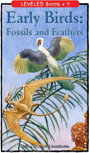 raz Y級閱讀Early Birds Fossils and Feathers繪本PDF+音頻百度網盤免費下載