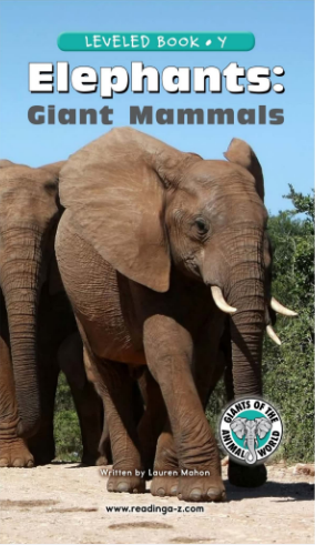 raz Y級閱讀Elephants Giant Mammals繪本PDF+音頻百度網盤免費下載