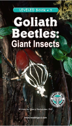 raz Y級閱讀Goliath Beetles Giant Insects繪本PDF+音頻百度網盤免費下載
