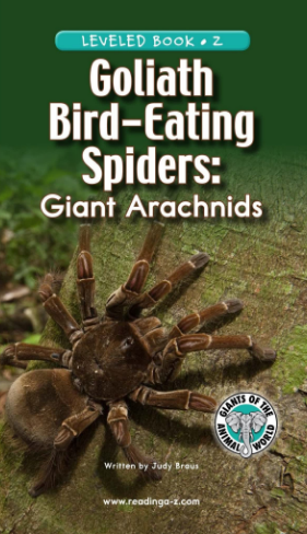 raz Z級閱讀Goliath Bird-Eating Spiders Giant Arachnids繪本PDF+音頻資源免費下載