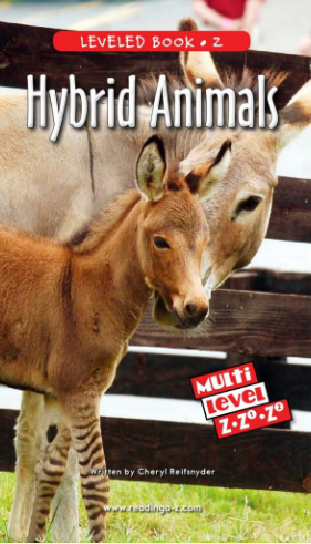 raz Z級閱讀Hybrid Animals繪本PDF+音頻資源免費下載