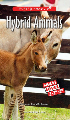 raz Z1級閱讀Hybrid Animals繪本PDF+音頻資源免費下載