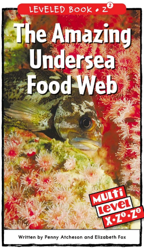 raz Z2級閱讀The Amazing Undersea Food Web繪本PDF+音頻資源免費下載