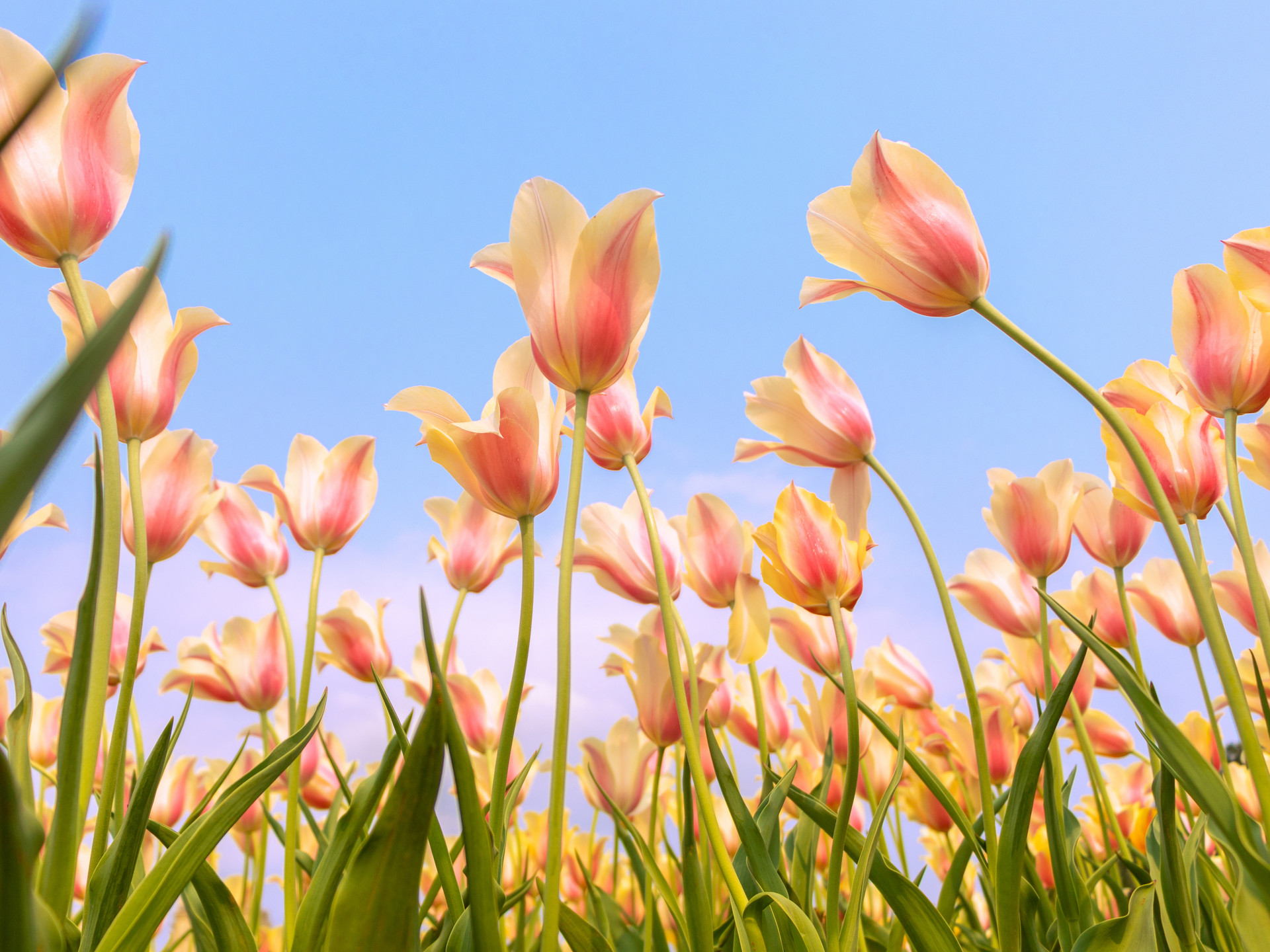 2022年二十四節(jié)氣時(shí)間