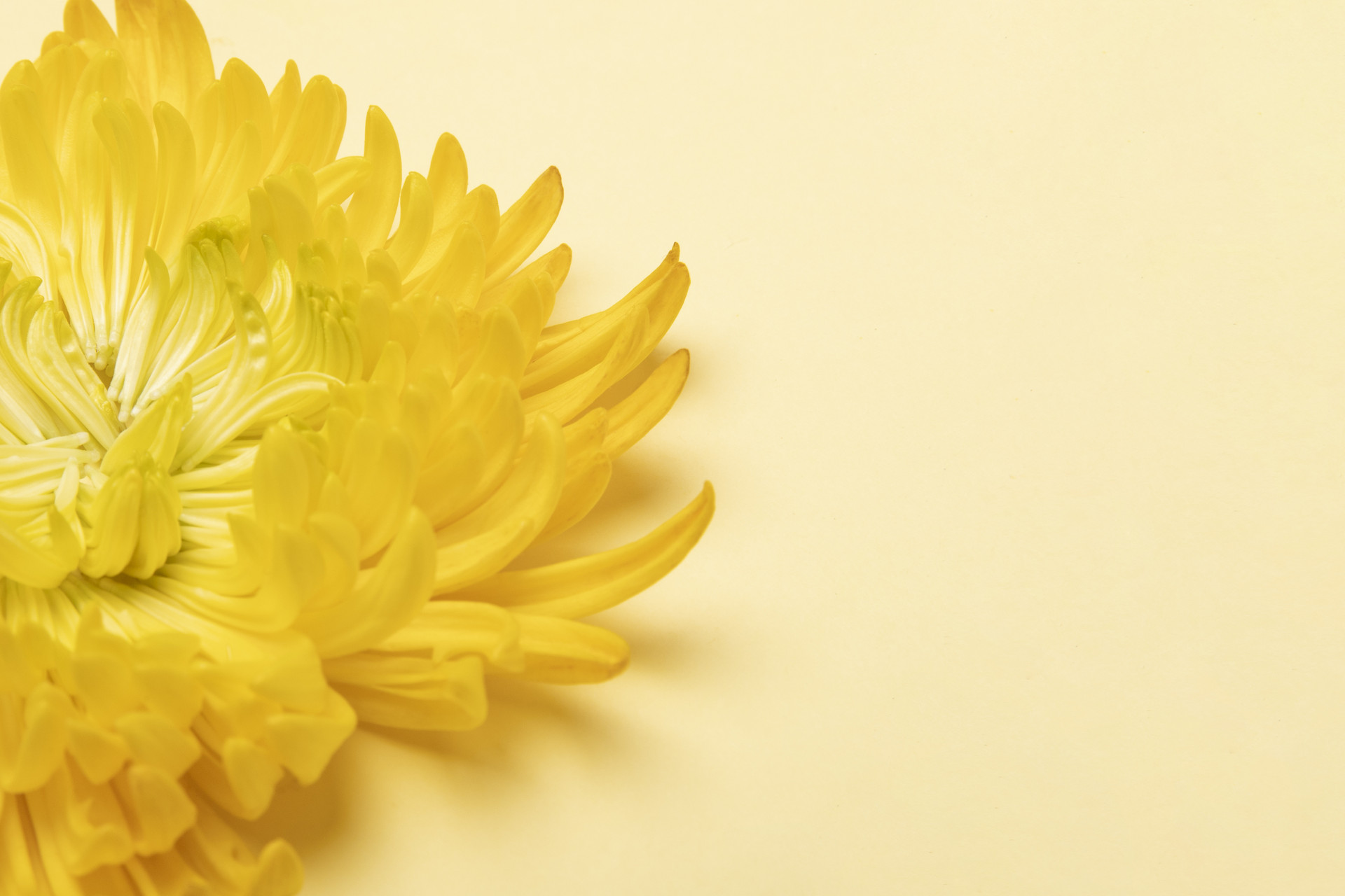 2022年清明節高速公路免費時間