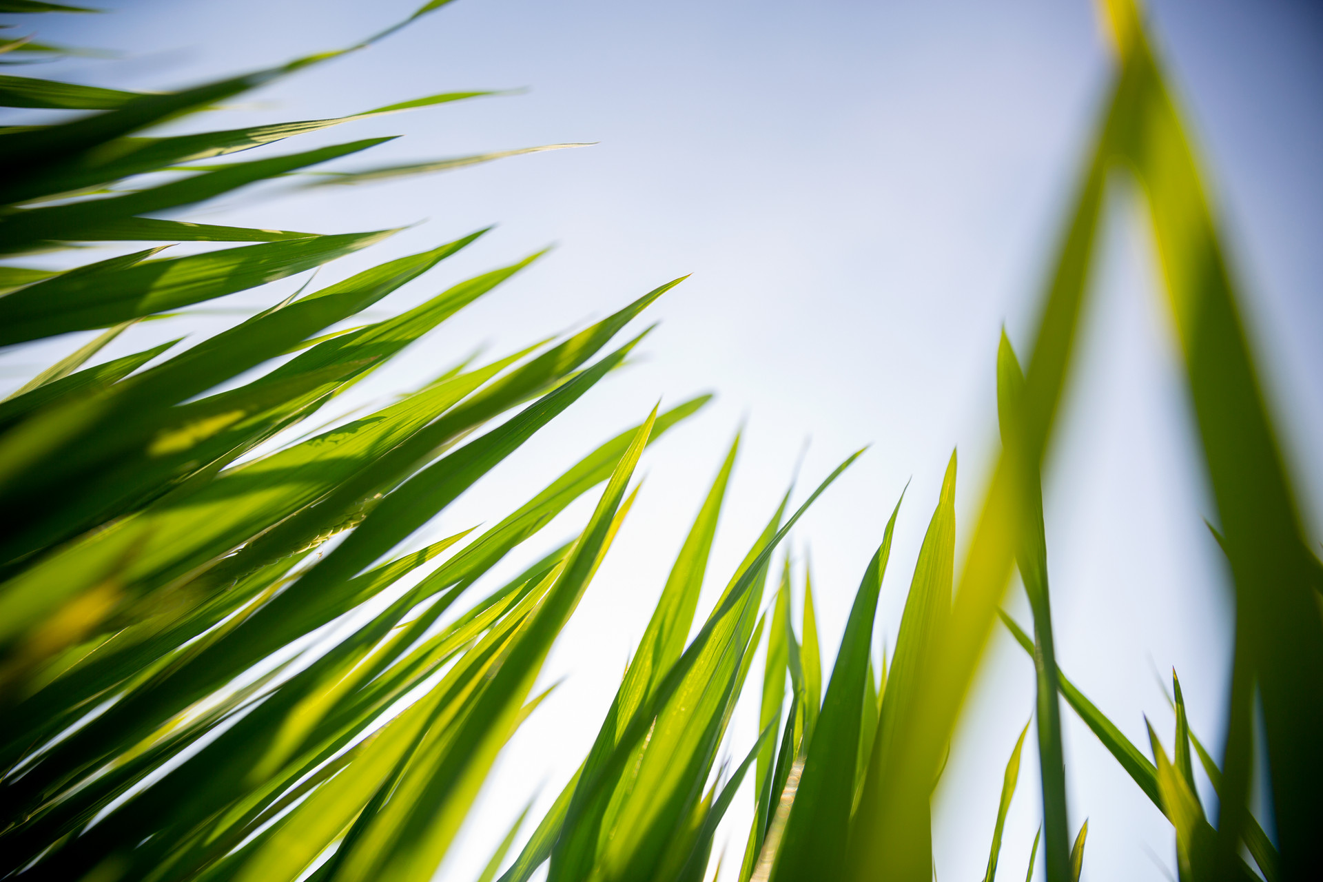 2022年清明節三倍工資是哪幾天