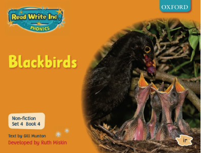牛津閱讀樹Read Write phonics系列Blackbirds音頻+PDF資源免費下載