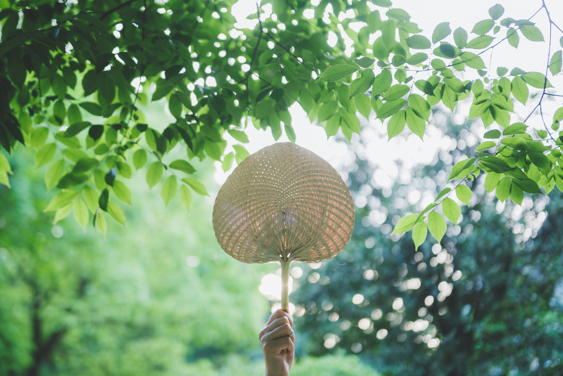 我最喜歡的季節夏天400字作文