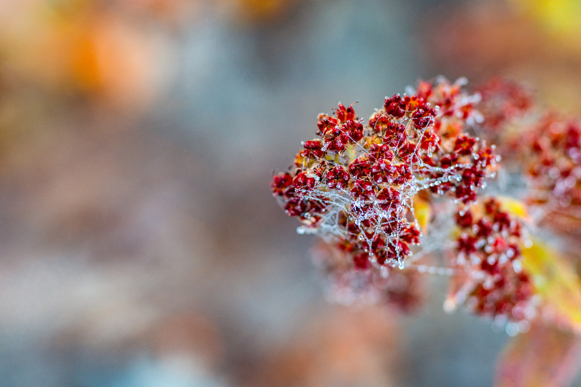 2022年大寒入宅好嗎 2022年大寒可以搬家嗎