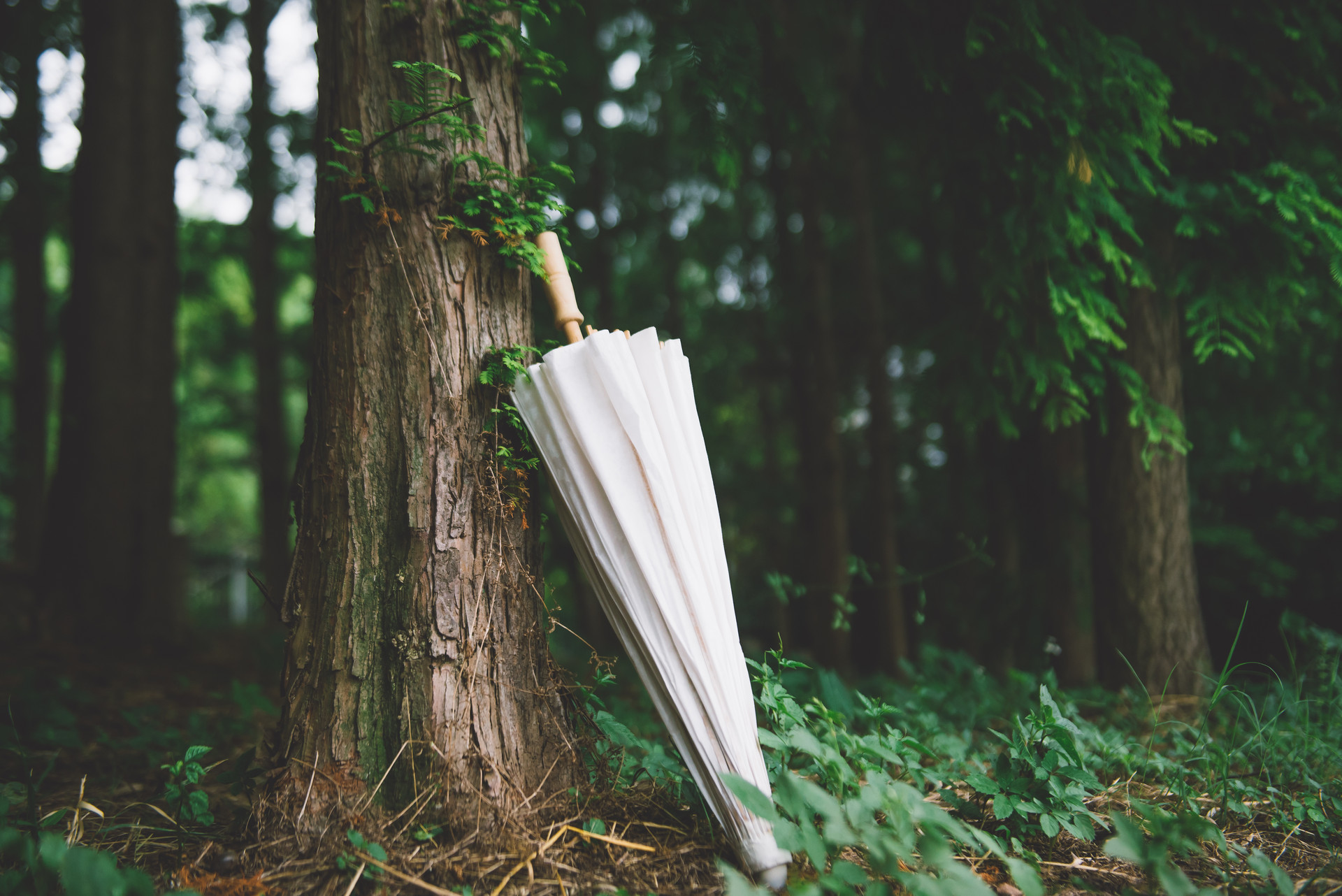 2022年谷雨出生的孩子命運